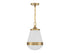 Endura 1-Light Pendant in Satin Nickel