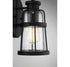 Quinton 1-Light Small Outdoor Wall Lantern in Matte Black