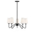 5-Light Chandelier in Matte Black