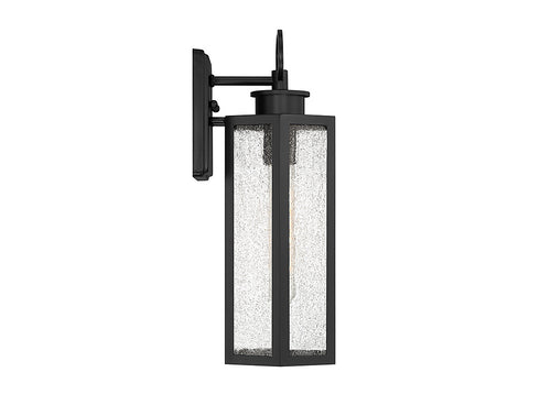 Hawthorne 1-Light Outdoor Wall Lantern in Black