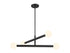 4-Light Chandelier in Matte Black