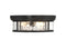 Ashton 4-Light Ceiling Light in Matte Black