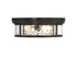 Ashton 4-Light Ceiling Light in Matte Black