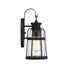 Quinton 1-Light Small Outdoor Wall Lantern in Matte Black