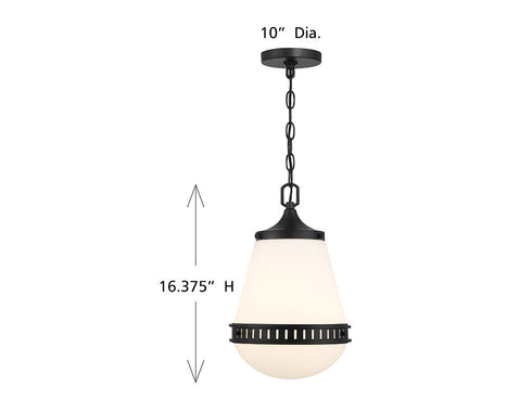 Endura 1-Light Pendant in Satin Nickel
