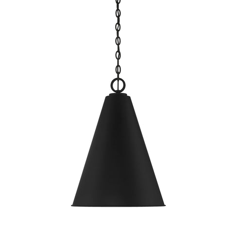 1-Light Pendant in Matte Black
