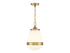 Endura 1-Light Pendant in Satin Nickel