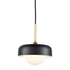 Industrial Modern Black Barn Pendant Light with Glass Shade