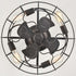 20 Inches Rust Caged Ceiling Fans with Lights Flush Mount Remote Control