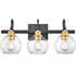 3-light Modern Black Metal with Globe Clear Glass Shade Wall Sconces