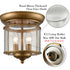 Antique Brass Flush Mount Ceiling Light 2-Light Glass Ceiling Light Fixture