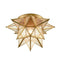 Maglie Brass Seeded Glass Moravian Star Flush Mount Ceiling Light, 15-Inch