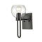 Clear Glass Wall Sconce Black Wall Lighting with Globe Shade