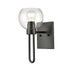 Clear Glass Wall Sconce Black Wall Lighting with Globe Shade