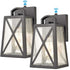 Dusk to Dawn Outdoor Lights Wall Mount Porch Lights Set of 2
