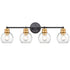 Farmhouse Black and Brass 4-Light Bathroom Globe Vanity Light