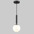 Globe Pendant Light for Kitchen Island Black