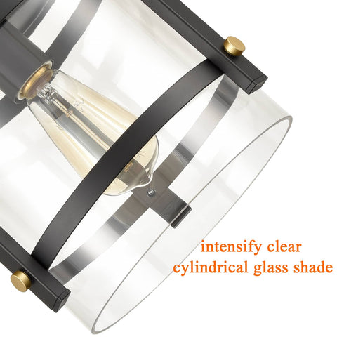 Cava de' Tirreni Industrial Black Flush Mount Ceiling Light with Clear Glass Shade