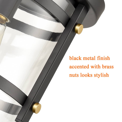 Cava de' Tirreni Industrial Black Flush Mount Ceiling Light with Clear Glass Shade