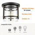 Cava de' Tirreni Industrial Black Flush Mount Ceiling Light with Clear Glass Shade