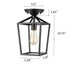 Todi Gallarate Industrial Metal Cage Semi Flush Mount Ceiling Light Matte Black