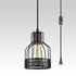 Metal Mesh Cage Small Plug-In Pendant Light