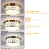 Modern 15'' Round Drum Shade Brushed Gold Dimmable LED Ceiling Light Hallway Light Fixtures