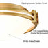 Modern Flush Mount Ceiling Light 12 Inches Brass Ceiling Lighting