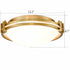 Modern Flush Mount Ceiling Light 12 Inches Brass Ceiling Lighting