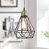 Plug-in Farmhouse Pendant Light Simple Wire Cage Hanging Lamp