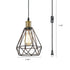 Plug-in Farmhouse Pendant Light Simple Wire Cage Hanging Lamp