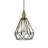 Plug-in Farmhouse Pendant Light Simple Wire Cage Hanging Lamp