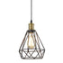 Plug-in Farmhouse Pendant Light Simple Wire Cage Hanging Lamp