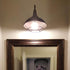 Plug in Industrial Rust Gooseneck Wall Sconce with Cage