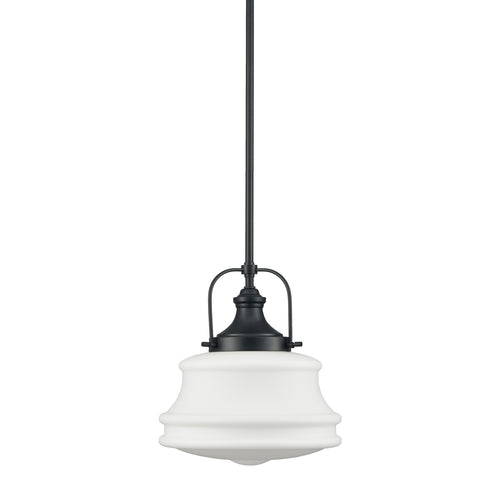 Industrial Pendant Light Fixtures Black Schoolhouse Hanging Adjustable Light for Kitchen Island