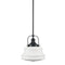 Industrial Pendant Light Fixtures Black Schoolhouse Hanging Adjustable Light for Kitchen Island