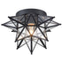 Black Moravian Star Ceiling Light Flush Mount, Transparent, 12.7-IN
