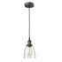 Rustic Mini Glass Pendant Lights Island Pendant Lighting