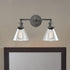 Rustic Mycete Glass 2 Light Hardwired & Plug in Bath Wall Sconce
