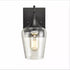 Industrial Clear Glass Wall Sconces Matte Black Wall Mount Lighting
