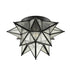 Mattinata Seeded Glass Moravian Star Flush Mount Ceiling Light, 15-Inch, Black