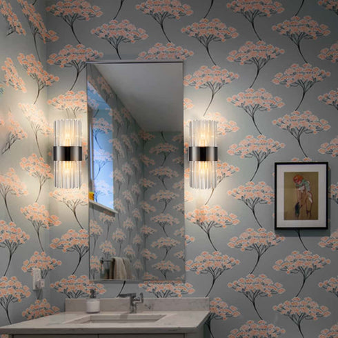 Titanium Black and Clear Glass Wall Sconces Lighting 2-Pack