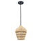 Black Rattan Pendant Light Boho Hanging Light for Bedroom Living room