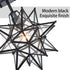 Black Moravian Star Ceiling Light Clear Glass Shade
