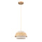 Gold Pendant Light Boho Hanging Light for Bedroom Living room