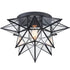 Moravian Star Flush Mount Ceiling Light, 18-In, Black, Transparent