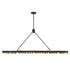 Ashor 8-Light LED Linear Chandelier in Matte Black with Warm Brass Accents