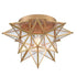 Brass Moravian Star Ceiling Light Transparent Glass 15-Inch